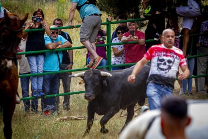 Tramos de monte hasta el descansadero de la Venta del Aire - MARIO TEJEDOR (33)