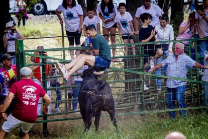 Tramos de monte hasta el descansadero de la Venta del Aire - MARIO TEJEDOR (36)