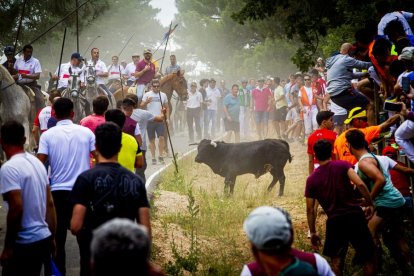 Tramos de monte hasta el descansadero de la Venta del Aire - MARIO TEJEDOR (37)