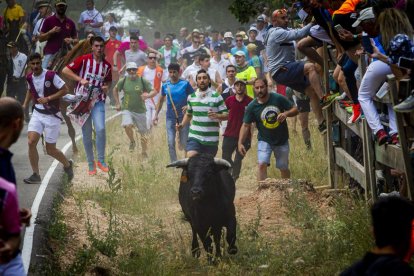 Tramos de monte hasta el descansadero de la Venta del Aire - MARIO TEJEDOR (38)