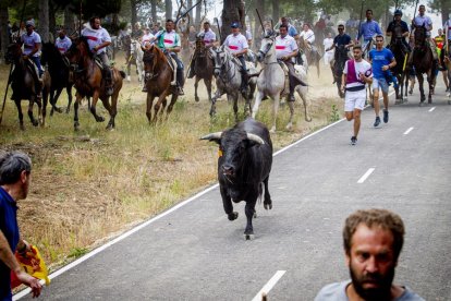 Tramos de monte hasta el descansadero de la Venta del Aire - MARIO TEJEDOR (39)