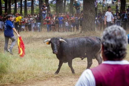Tramos de monte hasta el descansadero de la Venta del Aire - MARIO TEJEDOR (40)