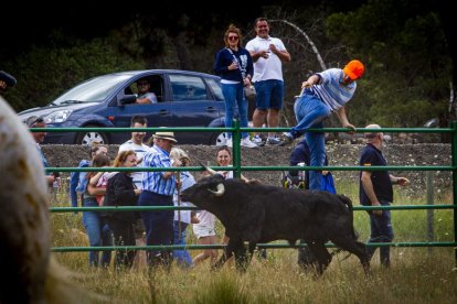 Tramos de monte hasta el descansadero de la Venta del Aire - MARIO TEJEDOR (42)
