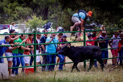 Tramos de monte hasta el descansadero de la Venta del Aire - MARIO TEJEDOR (43)