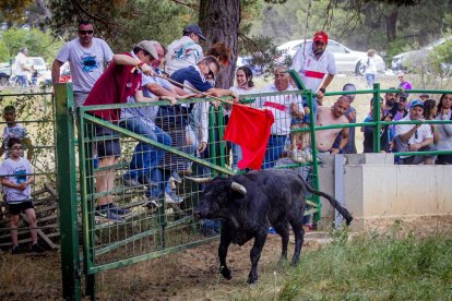 Tramos de monte hasta el descansadero de la Venta del Aire - MARIO TEJEDOR (44)