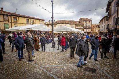Feria de artesanía de Berlanga - MARIO TEJEDOR (11)