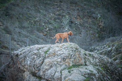 Los piragüistas colocan el belén en la isleta del Peñón en Nochebuena. GONZALO MONTESEGURO
