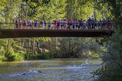 Triatlón en Almazán - MARIO TEJEDOR