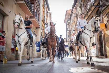Primeras horas de la jornada de La Saca.-GONZALO MONTESEGURO