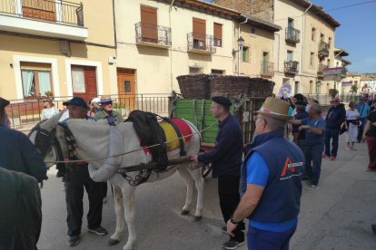 Jornadas de la Vendimia 2022 en Langa de Duero. ANA HERNANDO
