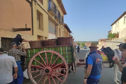 Jornadas de la Vendimia 2022 en Langa de Duero. ANA HERNANDO