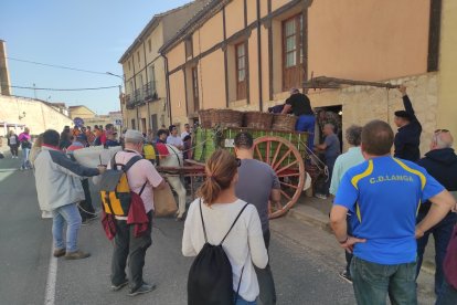 Jornadas de la Vendimia 2022 en Langa de Duero. ANA HERNANDO