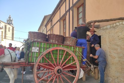 Jornadas de la Vendimia 2022 en Langa de Duero. ANA HERNANDO
