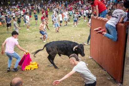 Lavalenguas 2022 en Valonsadero. GONZALO MONTESEGURO