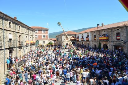 Pingada del mayo en las fiestas de Vinuesa. RAQUEL FERNÁNDEZ