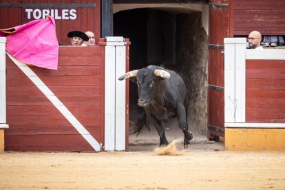 Corrida de rejones en la plaza de toros de Soria.-G. MONTESEGURO