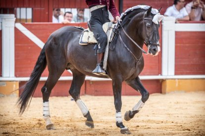 Corrida de rejones en la plaza de toros de Soria.-G. MONTESEGURO