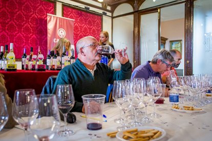 Concurso de vinos caseros en el Casino. MARIO TEJEDOR (3)