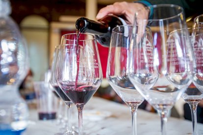 Concurso de vinos caseros en el Casino. MARIO TEJEDOR (15)