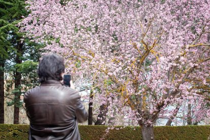 Imágenes de la primavera en Soria. MARIO TEJEDOR