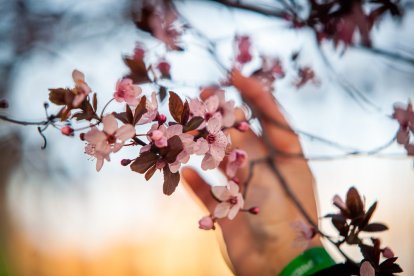 Imágenes de la primavera en Soria. MARIO TEJEDOR