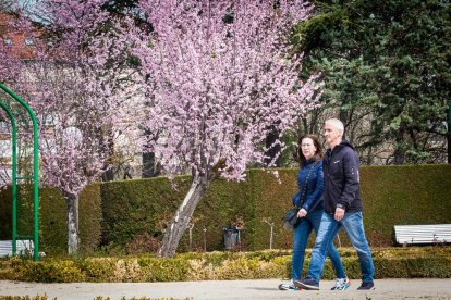 Imágenes de la primavera en Soria. MARIO TEJEDOR