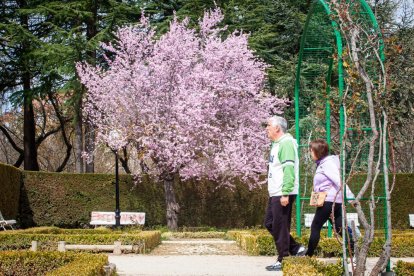 Imágenes de la primavera en Soria. MARIO TEJEDOR