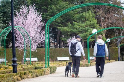 Imágenes de la primavera en Soria. MARIO TEJEDOR