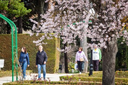 Imágenes de la primavera en Soria. MARIO TEJEDOR