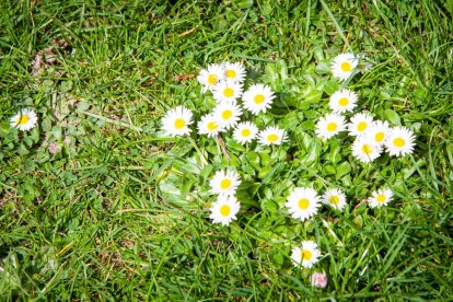 Imágenes de la primavera en Soria. MARIO TEJEDOR