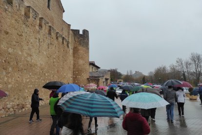 Marcha contra el Cáncer en El Burgo.-A. HERNANDO