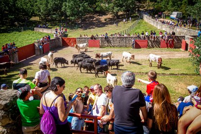 02 Desencajonamiento - MARIO TEJEDOR