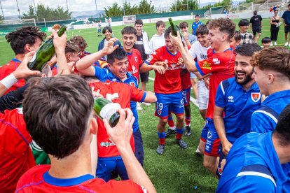 El CD Numancia juvenil logra el ascenso. MARIO TEJEDOR