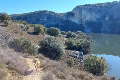 'Los Arribes del Duero' sorianos.