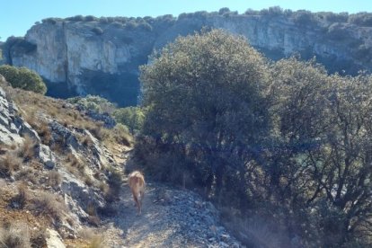 Por el sendero turístico de Los Rábanos