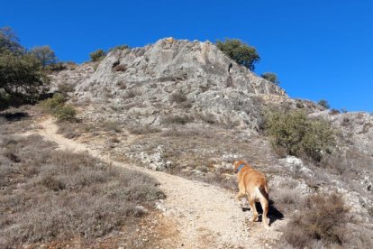 Desvío de acceso al embarcadero.