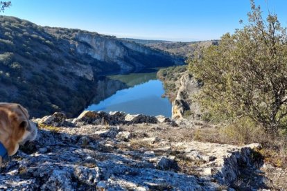 'Los Arribes del Duero' sorianos.