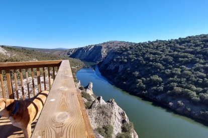 Llegada al tercer mirador de la ruta, desde donde iniciamos el camino de vuelta.