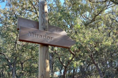 Llegada al tercer mirador de la ruta, desde donde iniciamos el camino de vuelta.
