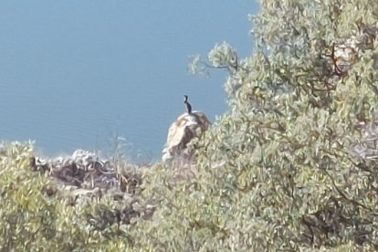 'Los Arribes del Duero' sorianos.
