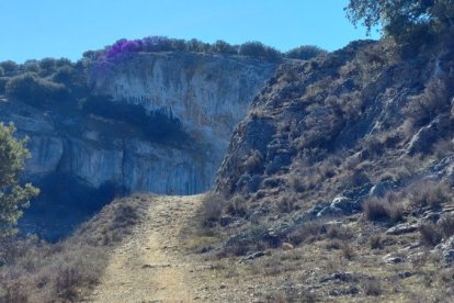 'Los Arribes del Duero' sorianos.