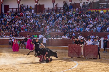 Vaquillas por San Saturio. MARIO TEJEDOR (6)