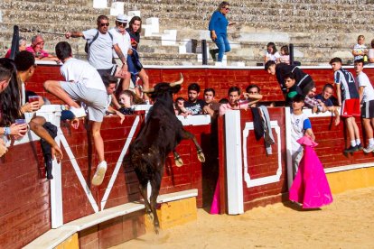 Vaquillas por San Saturio. MARIO TEJEDOR (17)