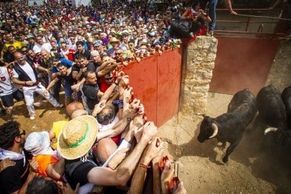 Ambiente en los corrales y salida de Cañadahonda - MARIO TEJEDOR (83)