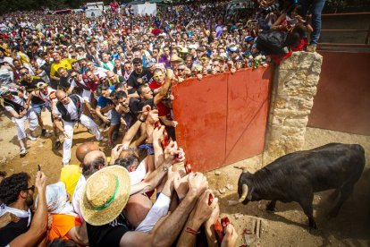Ambiente en los corrales y salida de Cañadahonda - MARIO TEJEDOR (84)