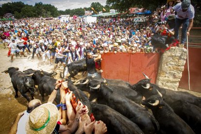 Ambiente en los corrales y salida de Cañadahonda - MARIO TEJEDOR (87)