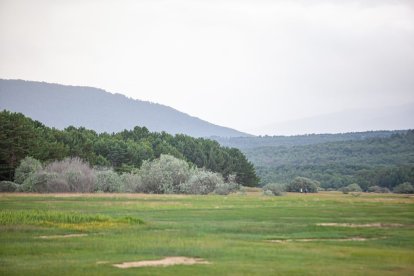 Le piano du lac en el pantano de la Cuerda del Pozo. - MARIO TEJEDOR