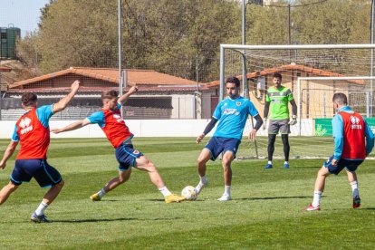 Entrenamiento del CD Numancia en la Ciudad Deportiva. MARIO TEJEDOR (60)