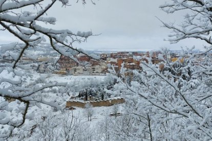 Nevada en Soria 24-02-2023 (32)