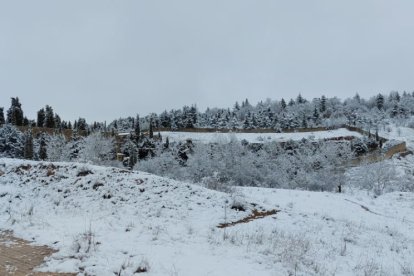 Paisaje por el Cerro de los Moros.